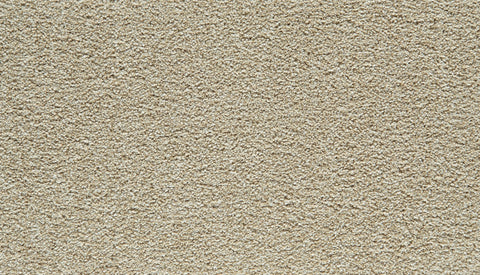 Mohawk Gentle Guardian I Carpet