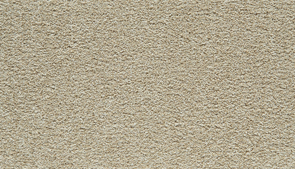 Mohawk Gentle Guardian I Carpet