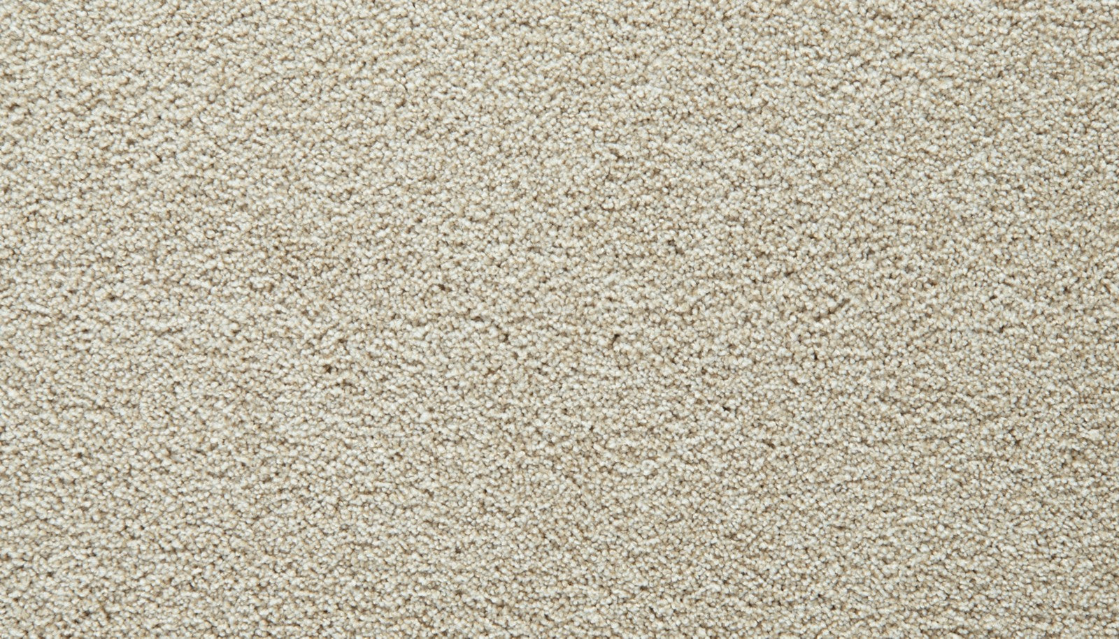 Mohawk Gentle Guardian I in Shoreside, Carpet product detail