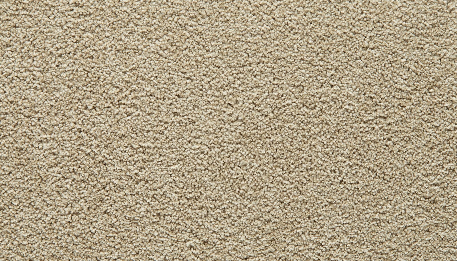 Mohawk Gentle Guardian I in Husk, Carpet product detail