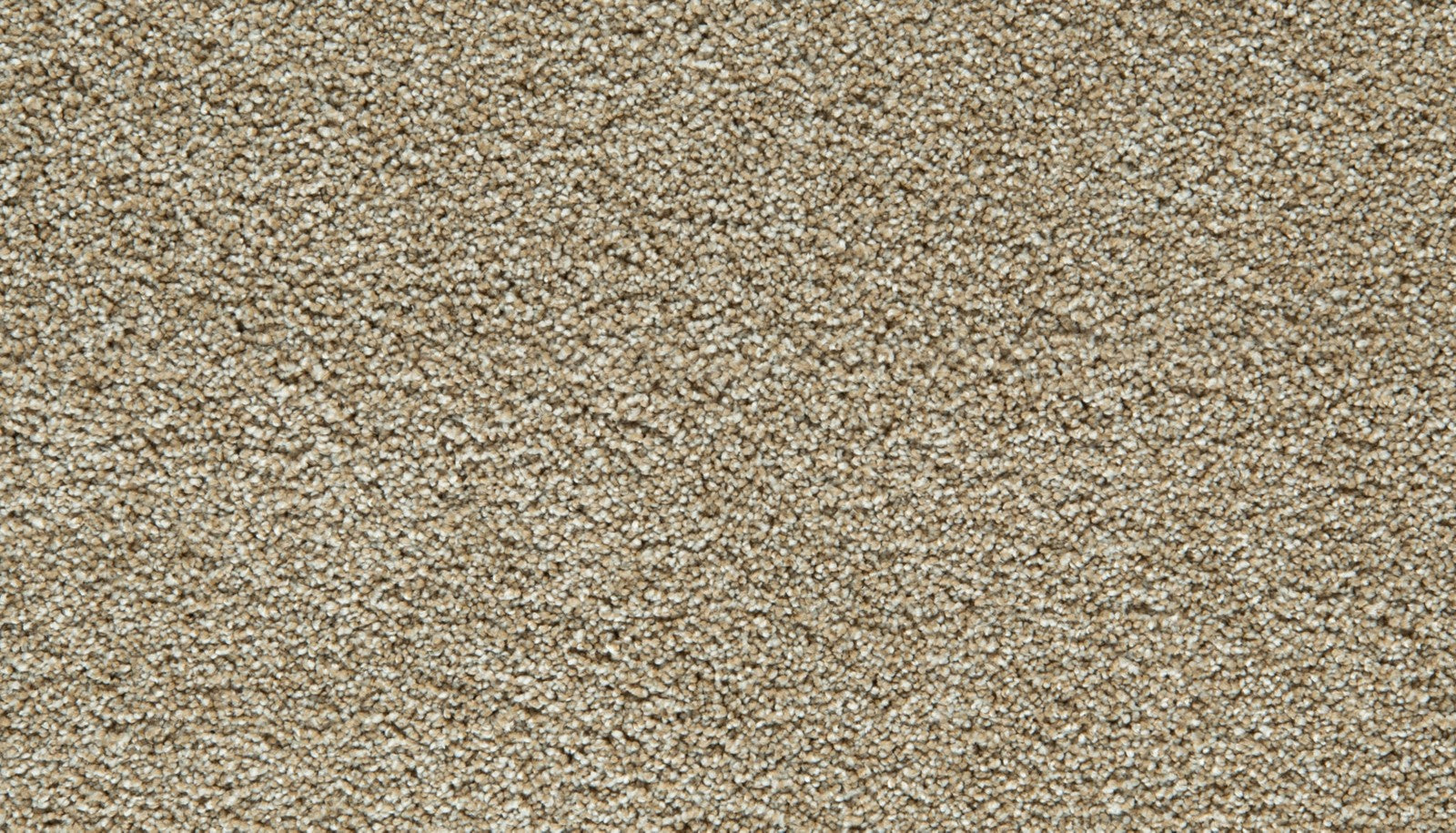 Mohawk Gentle Guardian I in Harmony, Carpet product detail
