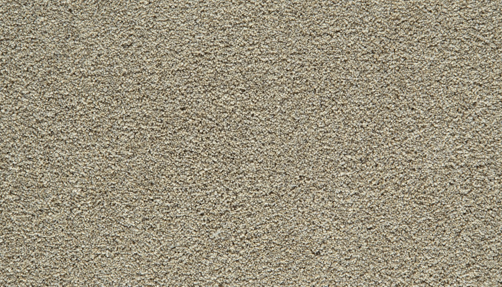 Mohawk Gentle Guardian I in Rainstorm, Carpet product detail