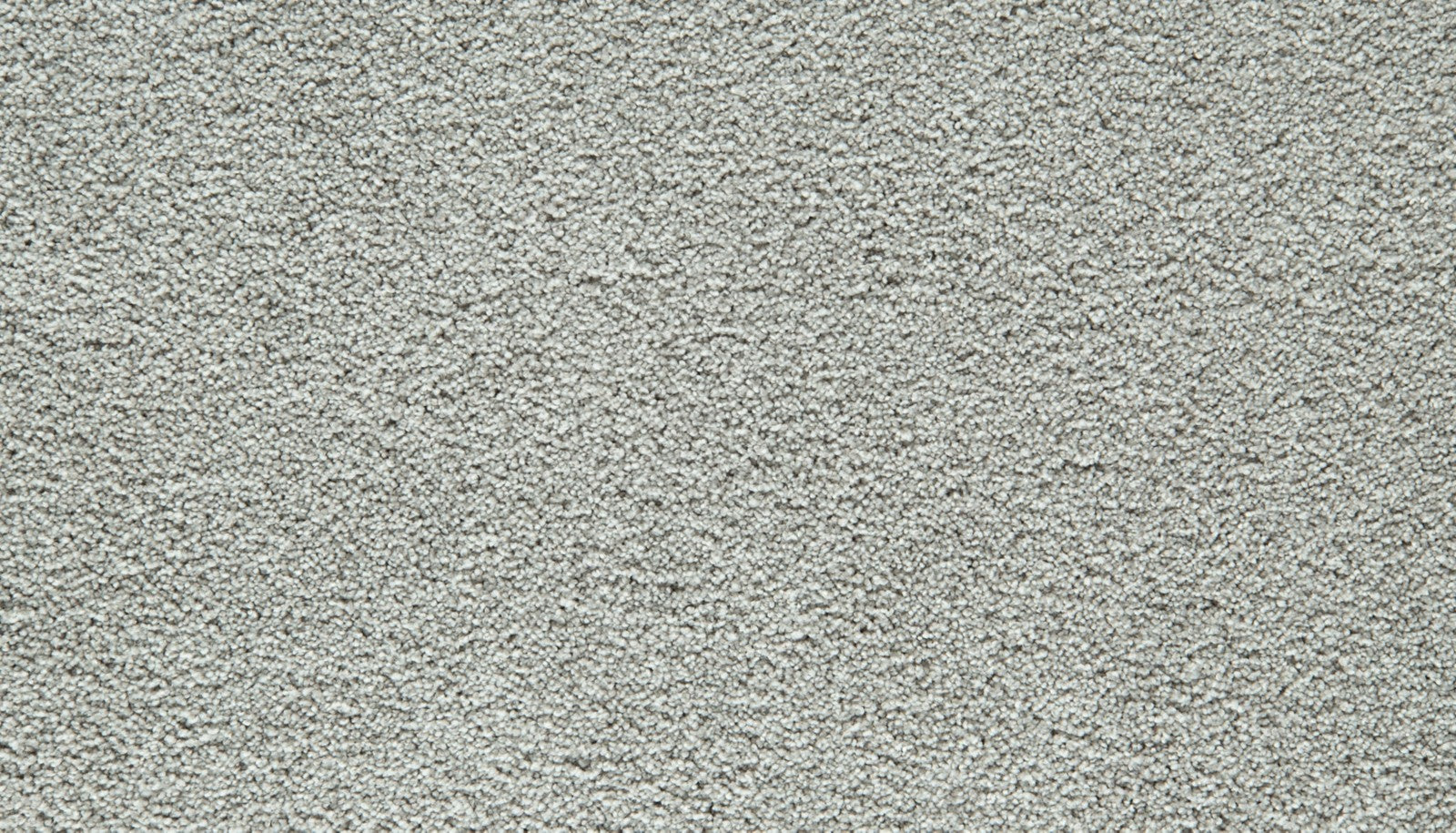 Mohawk Gentle Guardian I in Mercury, Carpet product detail