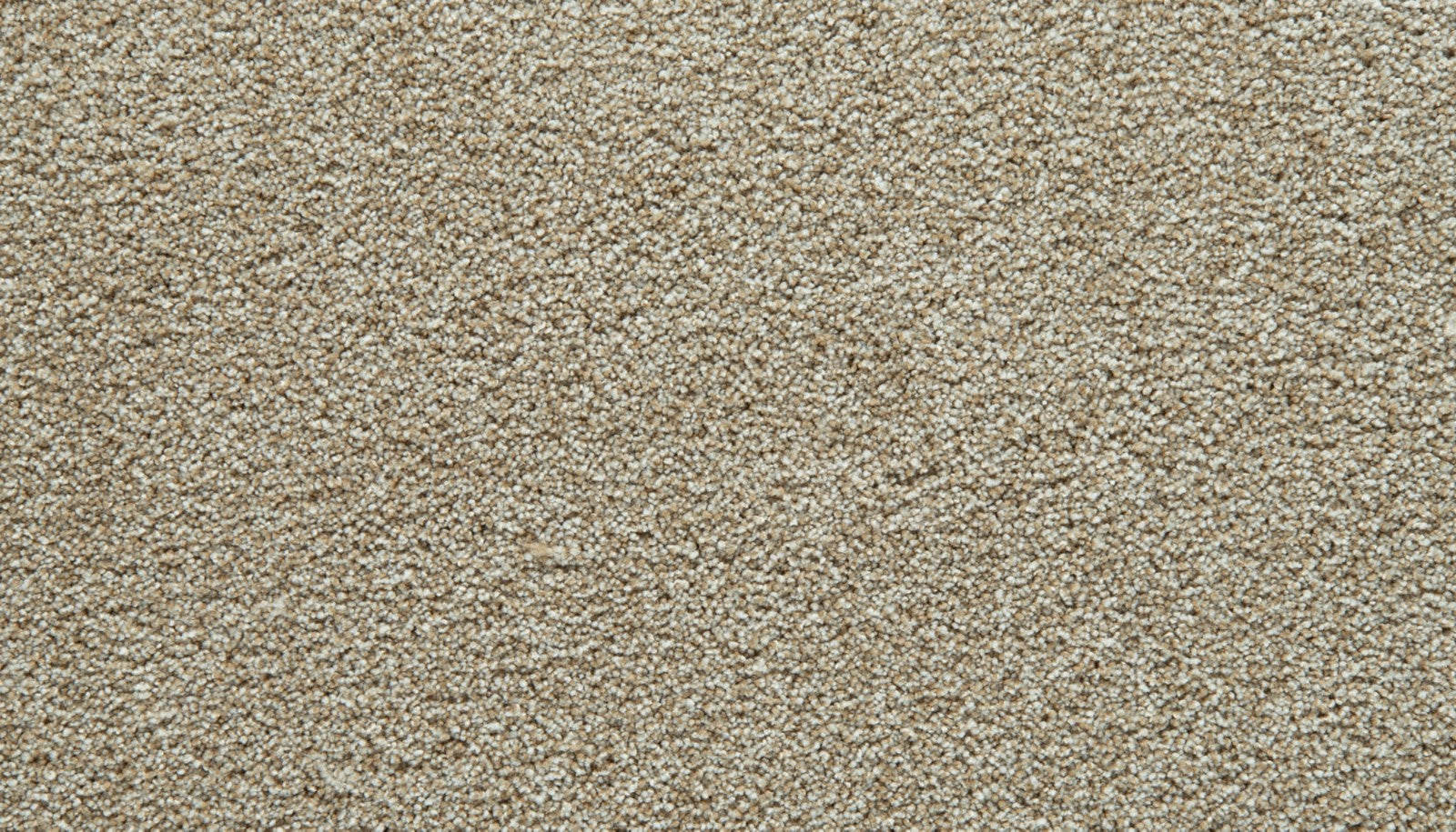 Mohawk Gentle Guardian II in Solace, Carpet product detail