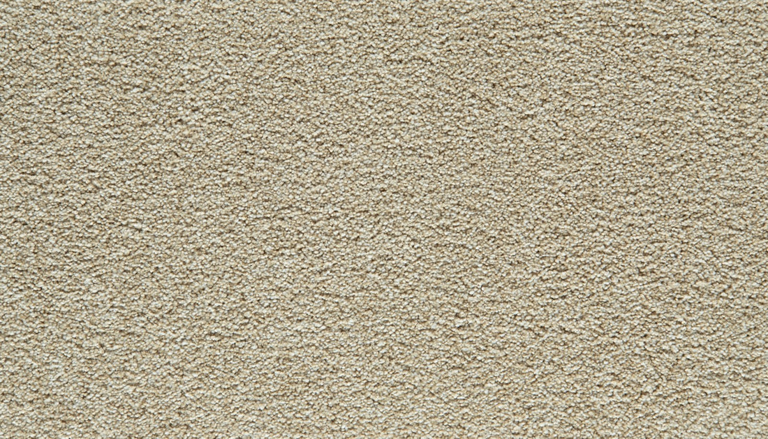 Mohawk Gentle Guardian III Carpet
