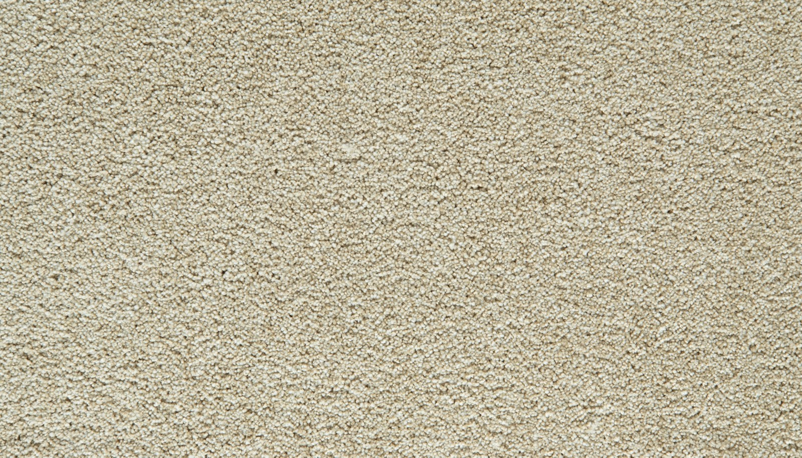Mohawk Gentle Guardian III in Dune, Carpet product detail