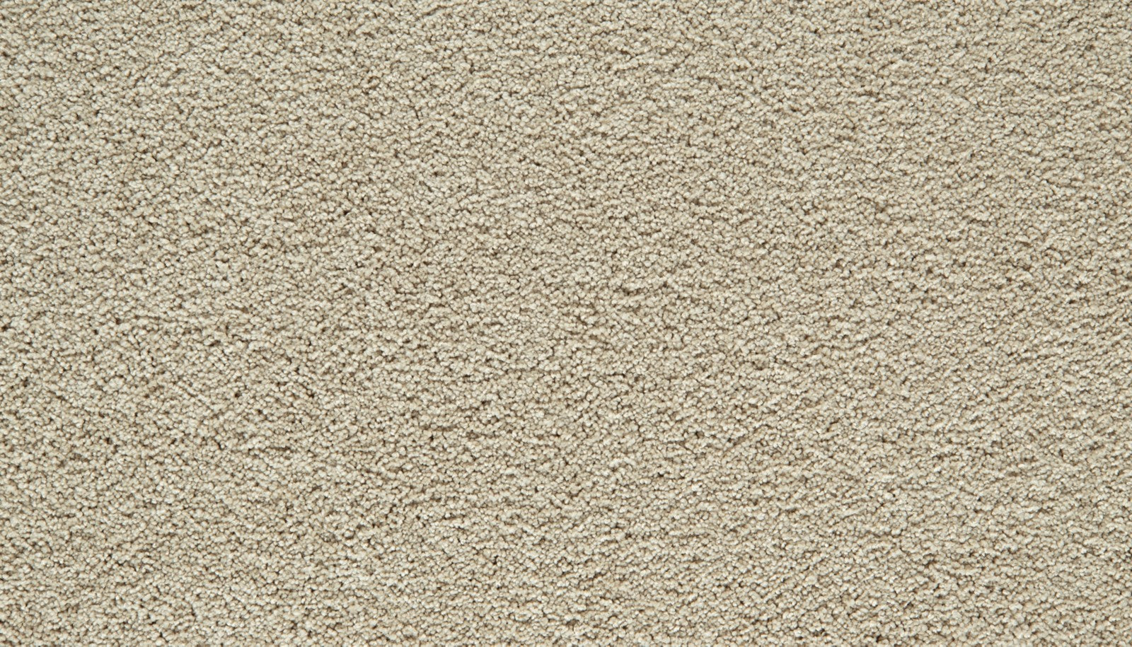 Mohawk Gentle Guardian III in Sandy Beach, Carpet product detail