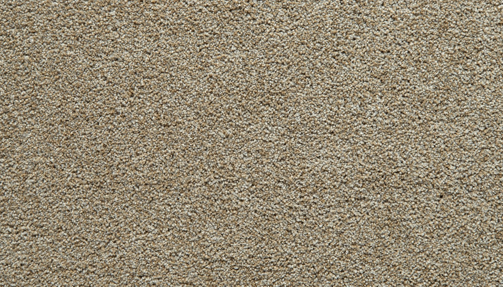 Mohawk Gentle Guardian III in Daylight, Carpet product detail