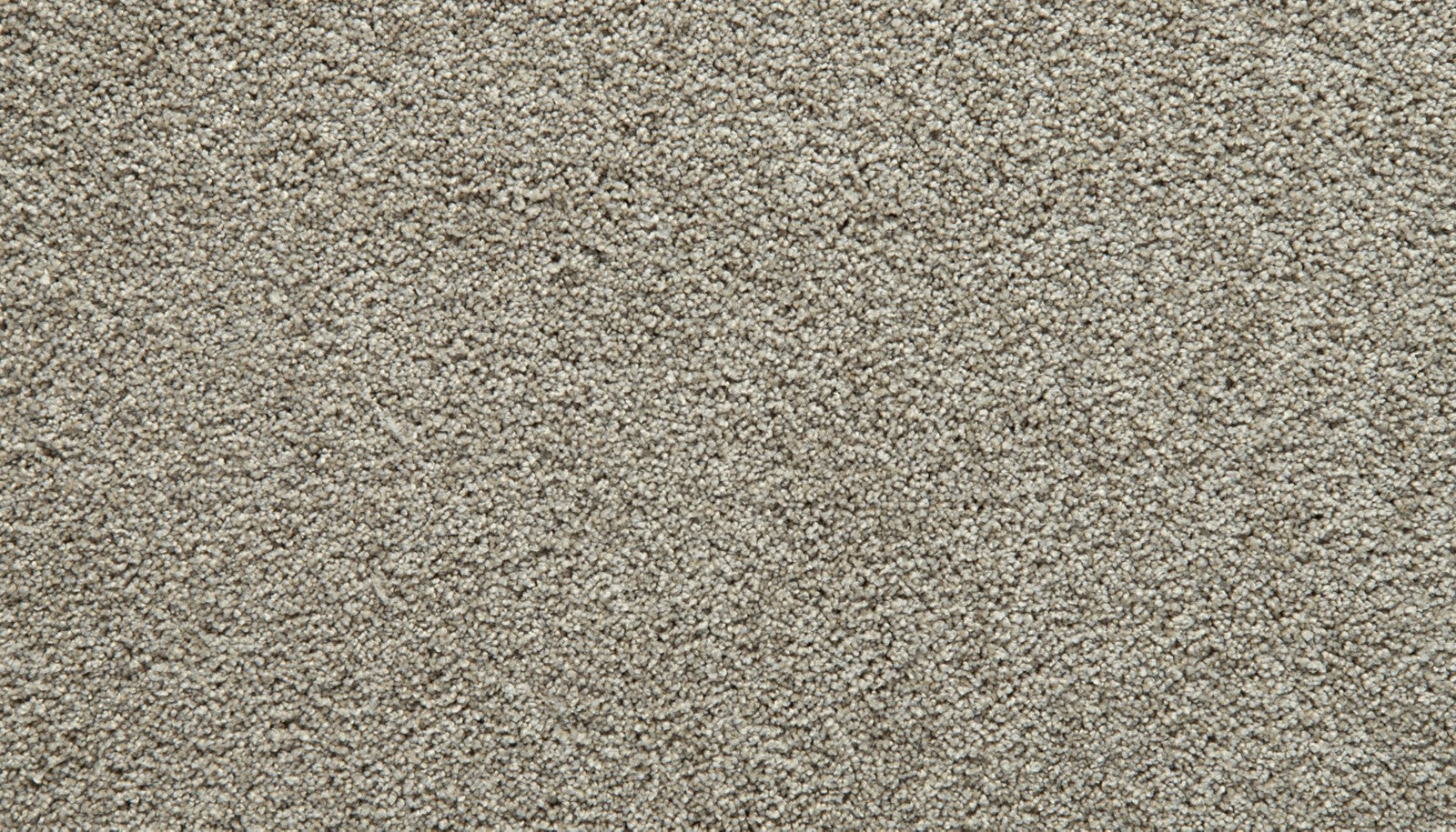 Mohawk Gentle Guardian III in Shadow, Carpet product detail