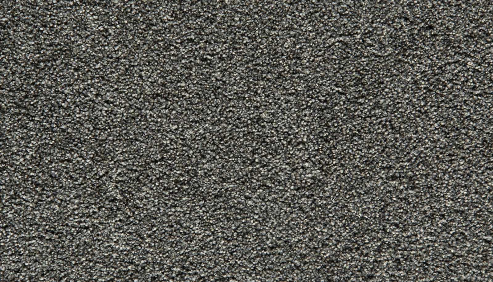 Mohawk Gentle Guardian III in New Moon, Carpet product detail