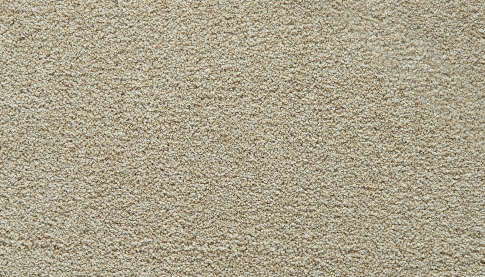 Mohawk Gentle Guardian IV in Bone, Carpet product detail