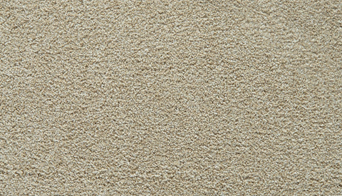 Mohawk Gentle Guardian IV Carpet