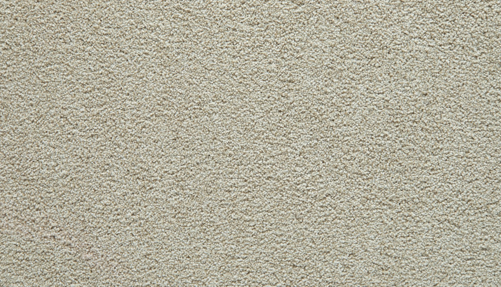 Mohawk Gentle Guardian IV in Shoreside, Carpet product detail
