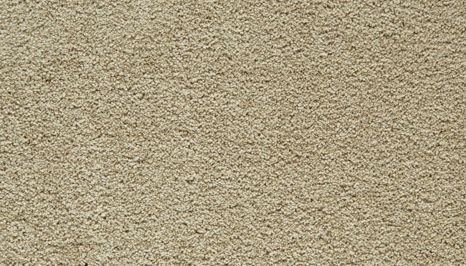 Mohawk Gentle Guardian IV in Husk, Carpet product detail