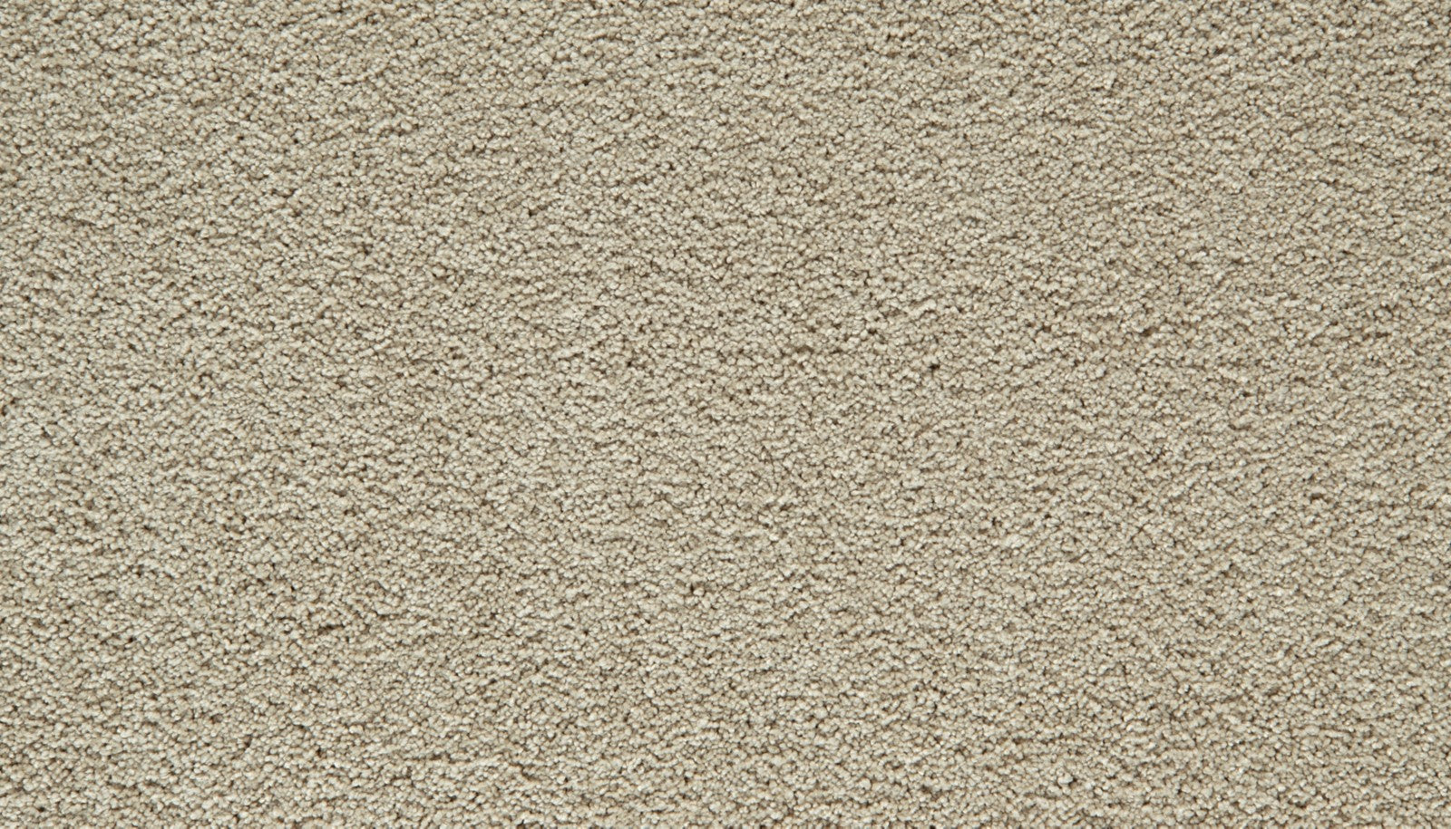 Mohawk Gentle Guardian IV in Sandy Beach, Carpet product detail