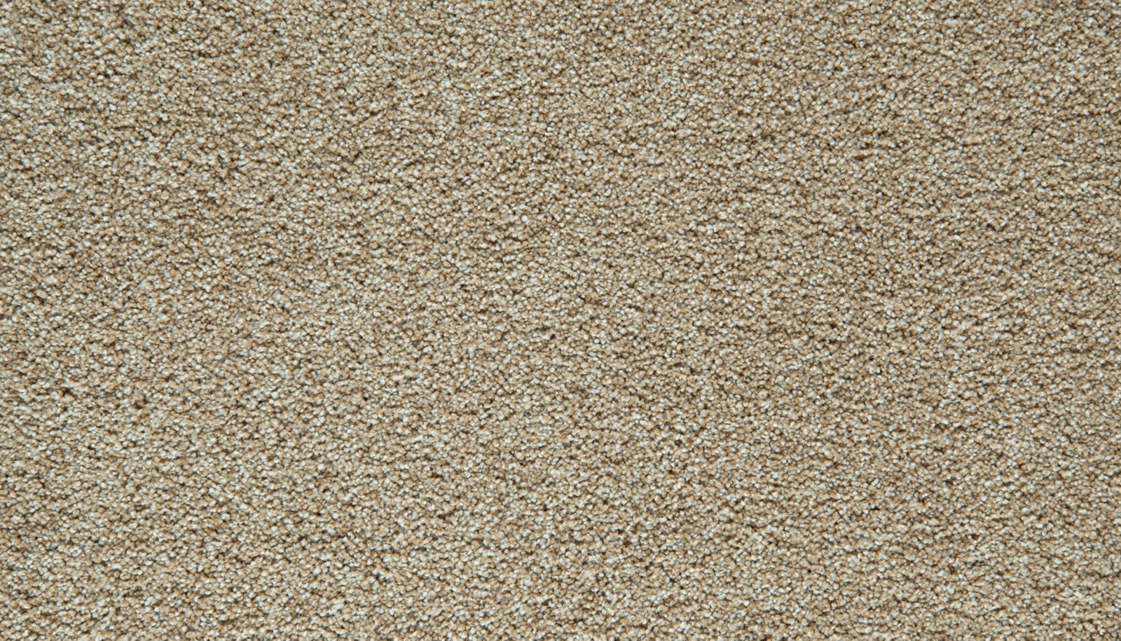 Mohawk Gentle Guardian IV in Harmony, Carpet product detail