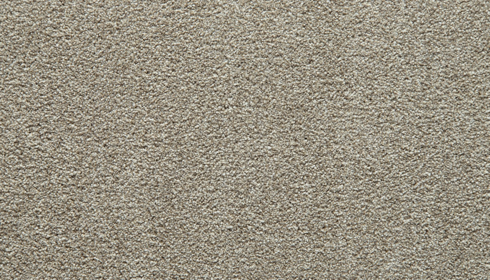 Mohawk Gentle Guardian IV in Rose Quartz, Carpet product detail