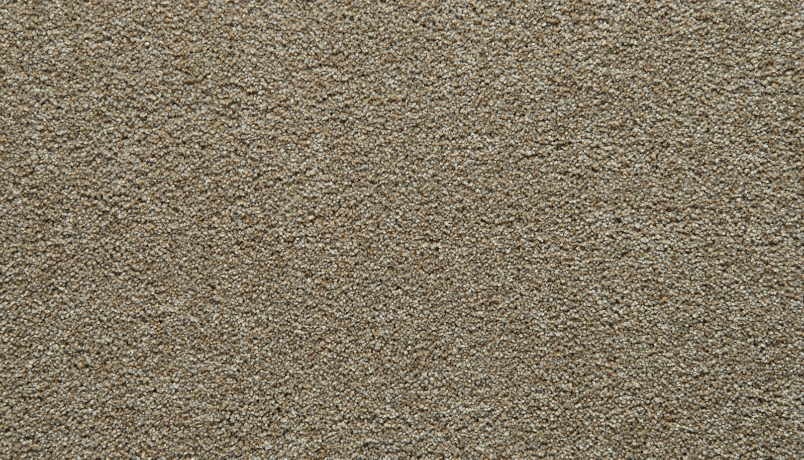 Mohawk Gentle Guardian IV in Daylight, Carpet product detail