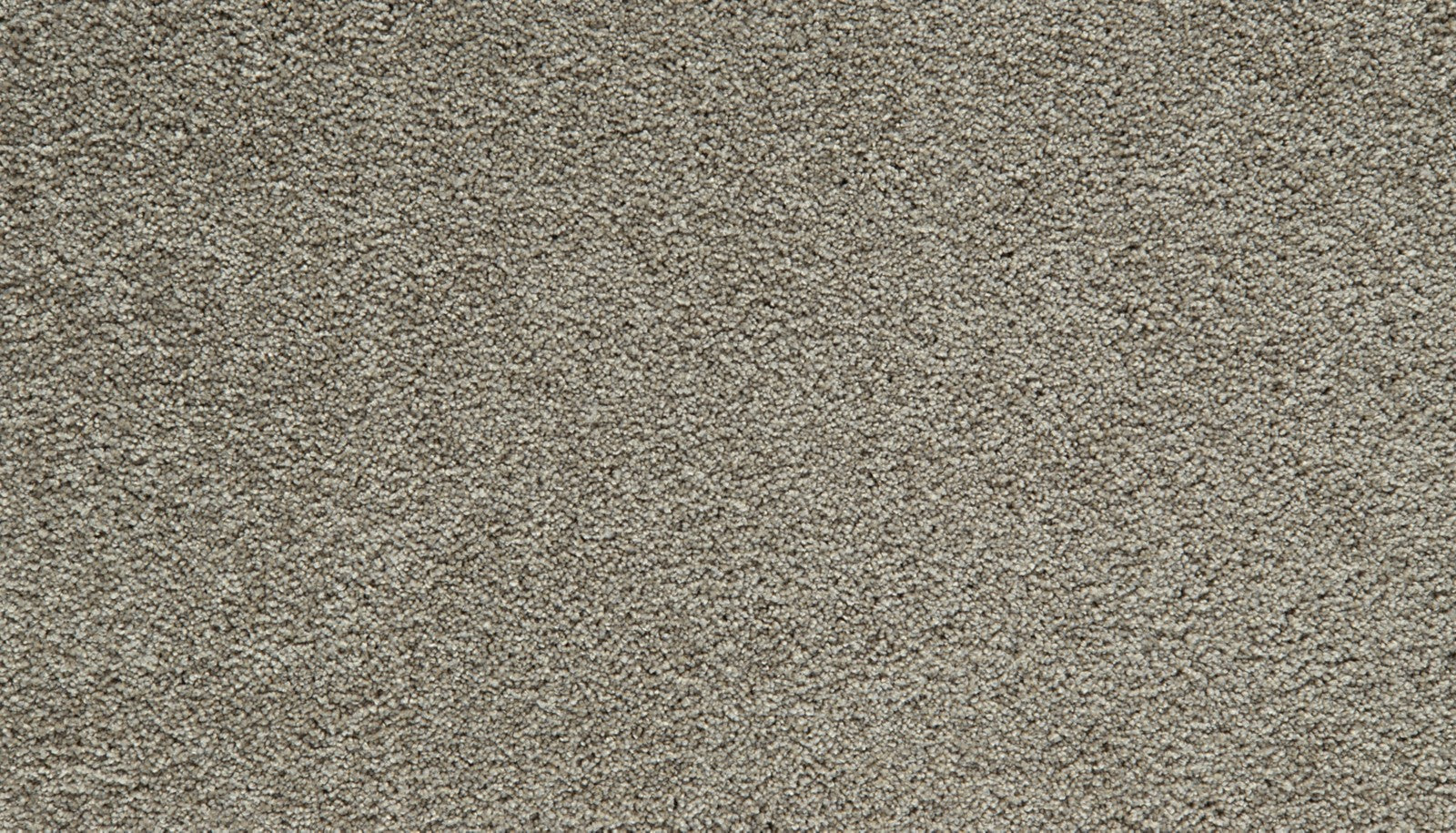 Mohawk Gentle Guardian IV in Shadow, Carpet product detail