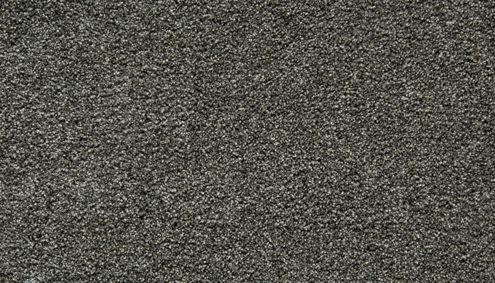 Mohawk Gentle Guardian IV in New Moon, Carpet product detail