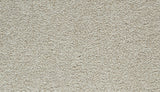 Mohawk Cozy Companion I Carpet
