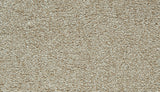 Mohawk Cozy Companion I Carpet