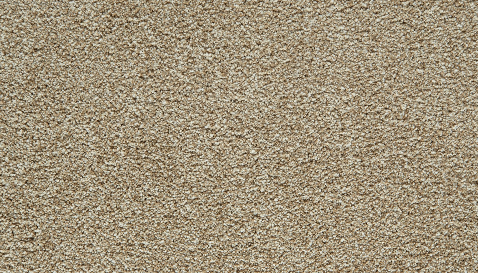 Mohawk Cozy Companion I in Soft Echo, Carpet product detail