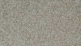 Mohawk Cozy Companion I Carpet