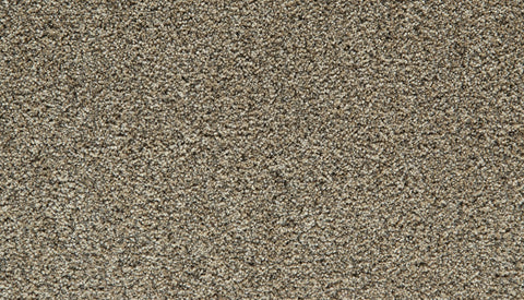 Mohawk Cozy Companion I Carpet