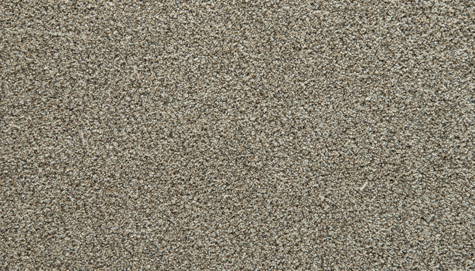Mohawk Cozy Companion I in Stillness, Carpet product detail