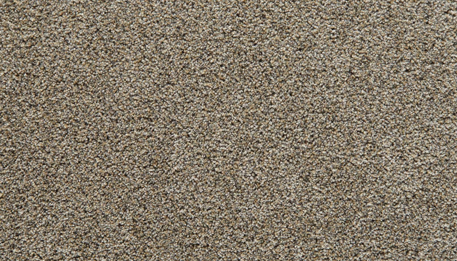 Mohawk Cozy Companion I in Homestead, Carpet product detail