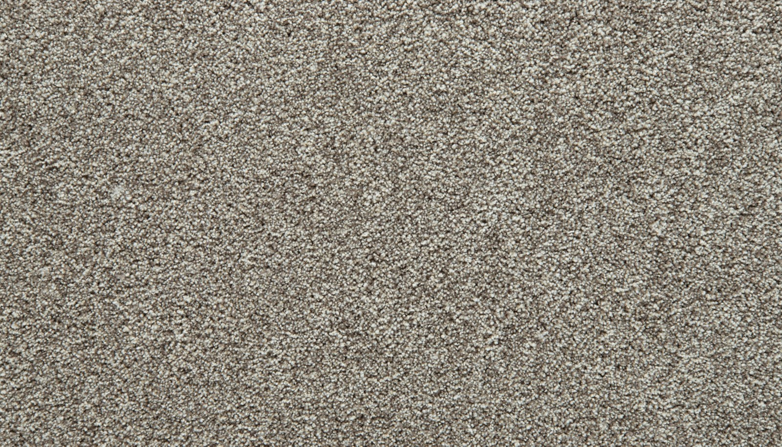 Mohawk Cozy Companion I in Winter, Carpet product detail