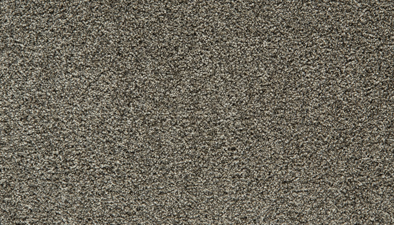 Mohawk Cozy Companion I in Slate, Carpet product detail