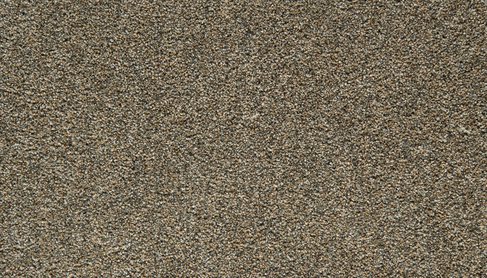 Mohawk Cozy Companion II in Thatched, Carpet product detail