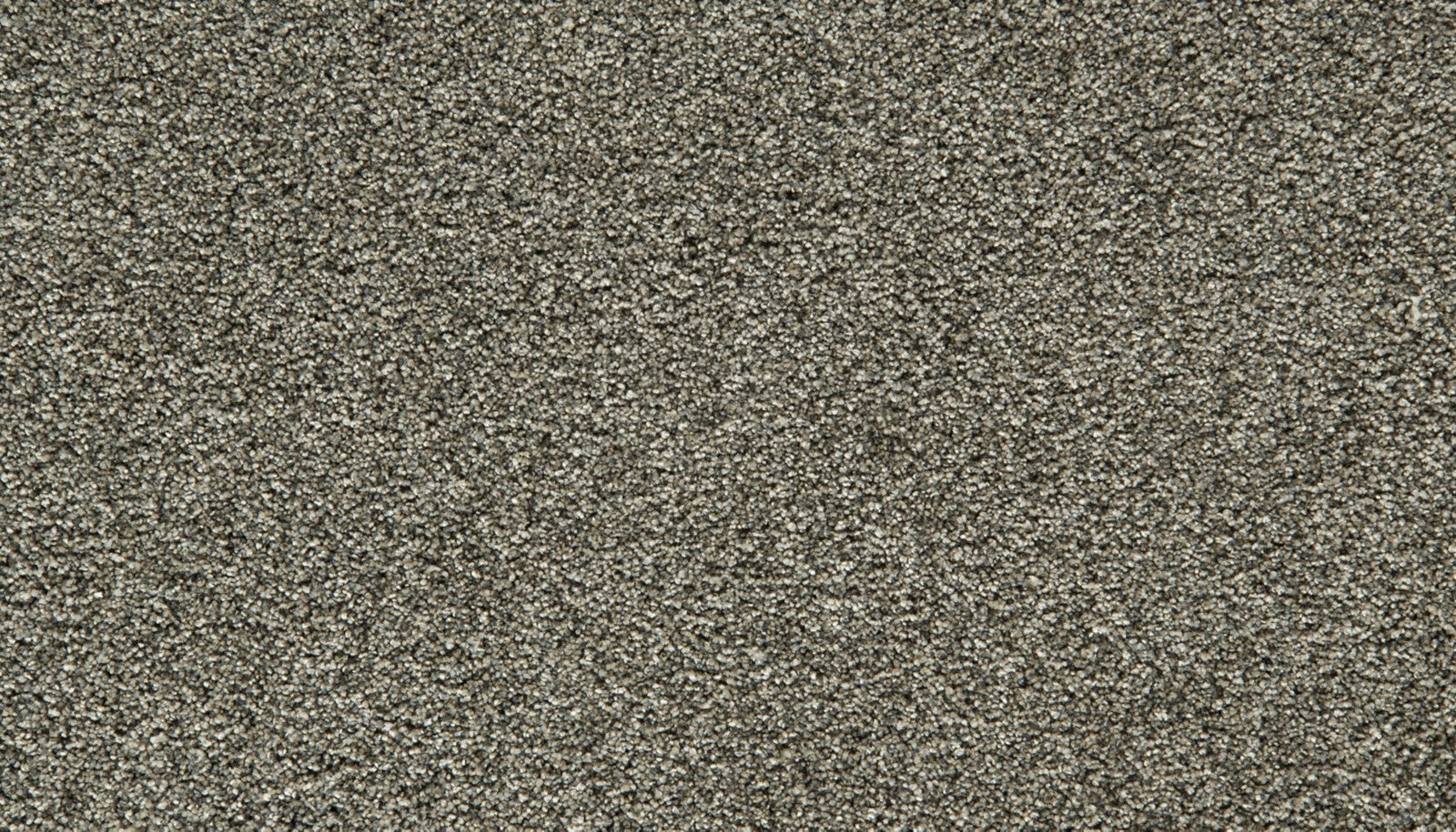 Mohawk Cozy Companion II in Slate, Carpet product detail