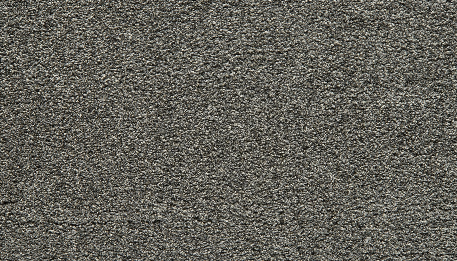 Mohawk Cozy Companion II in New Moon, Carpet product detail