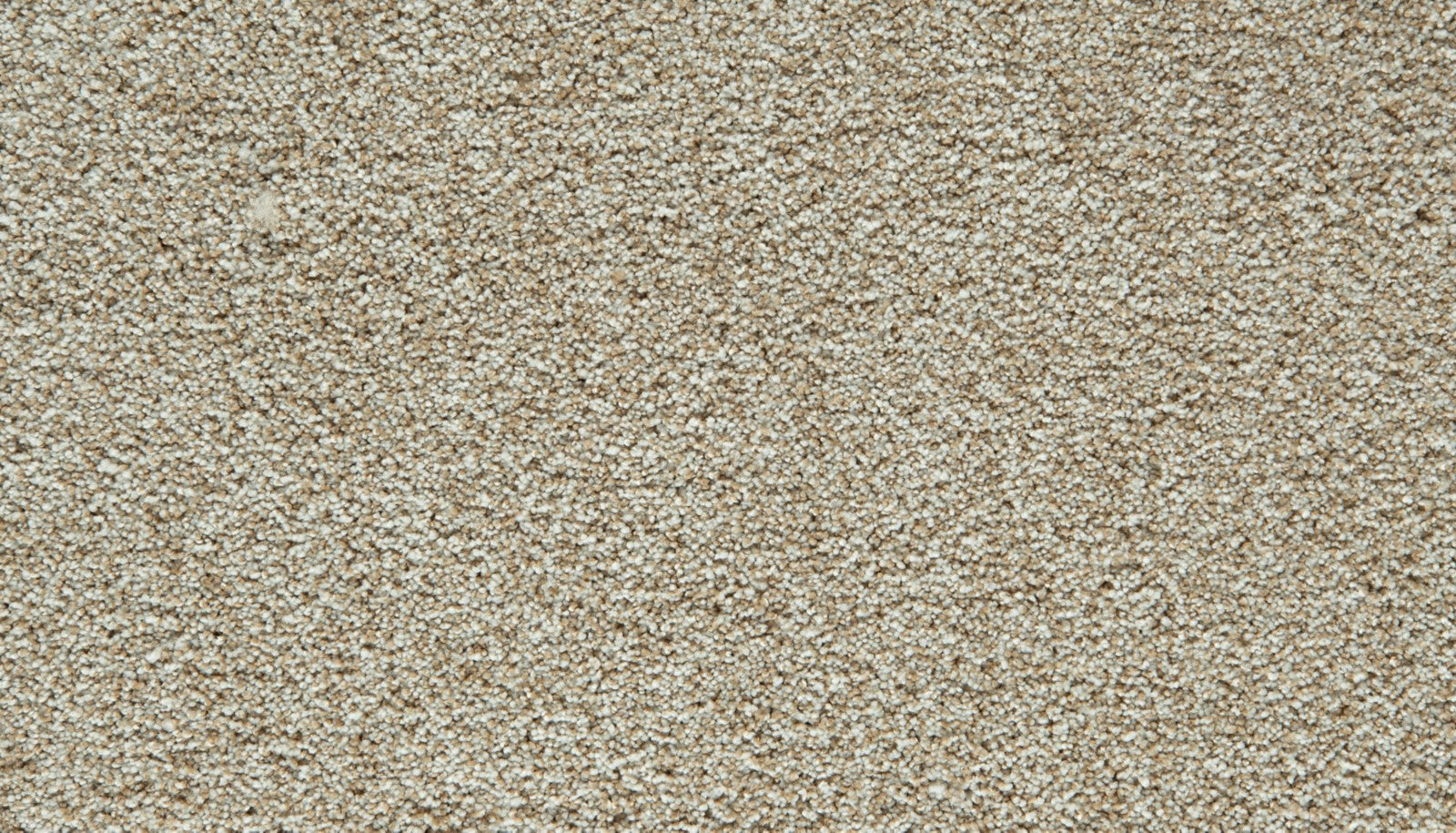 Mohawk Cozy Companion III in Coconut, Carpet product detail