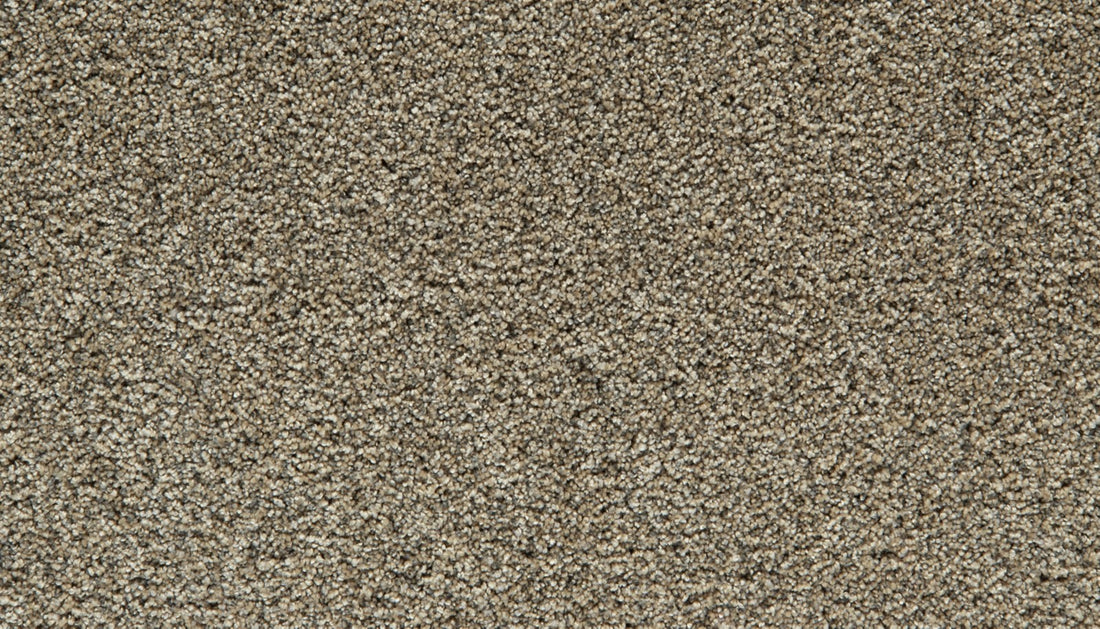 Mohawk Cozy Companion III Carpet