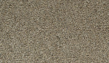 Mohawk Cozy Companion III Carpet