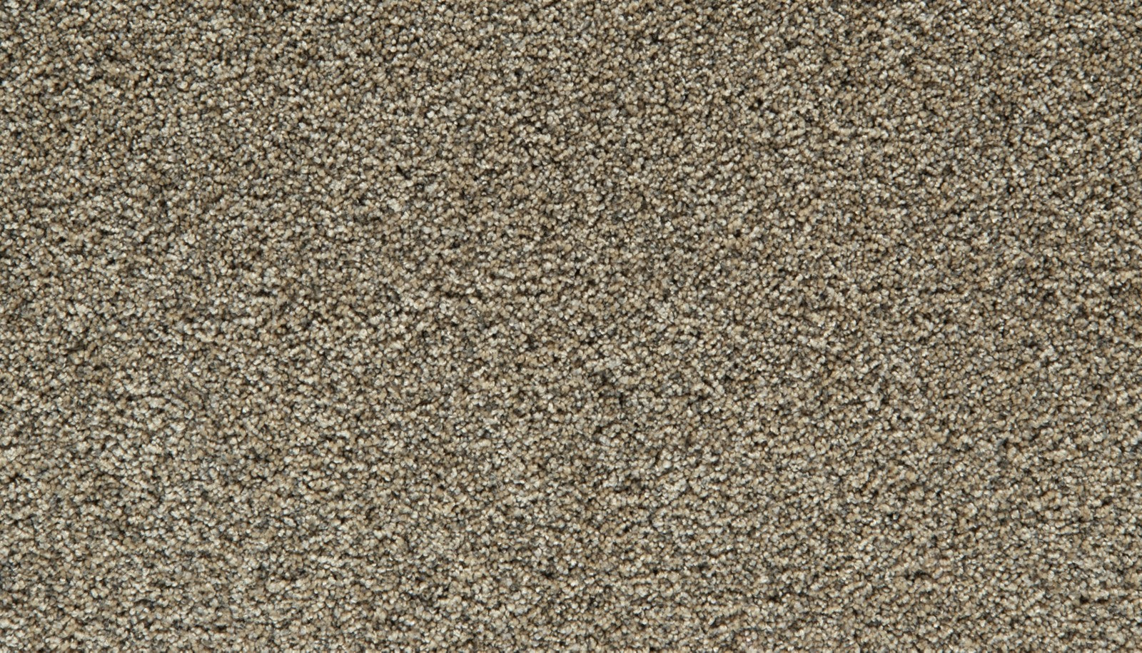 Mohawk Cozy Companion III in Barn Owl, Carpet product detail