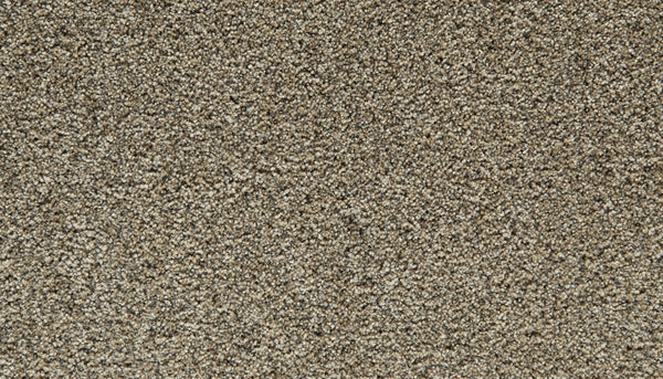 Mohawk Cozy Companion III Carpet