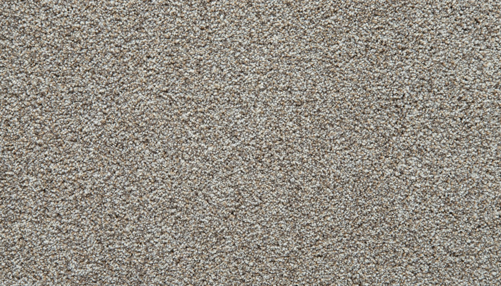 Mohawk Cozy Companion III in Soapstone, Carpet product detail