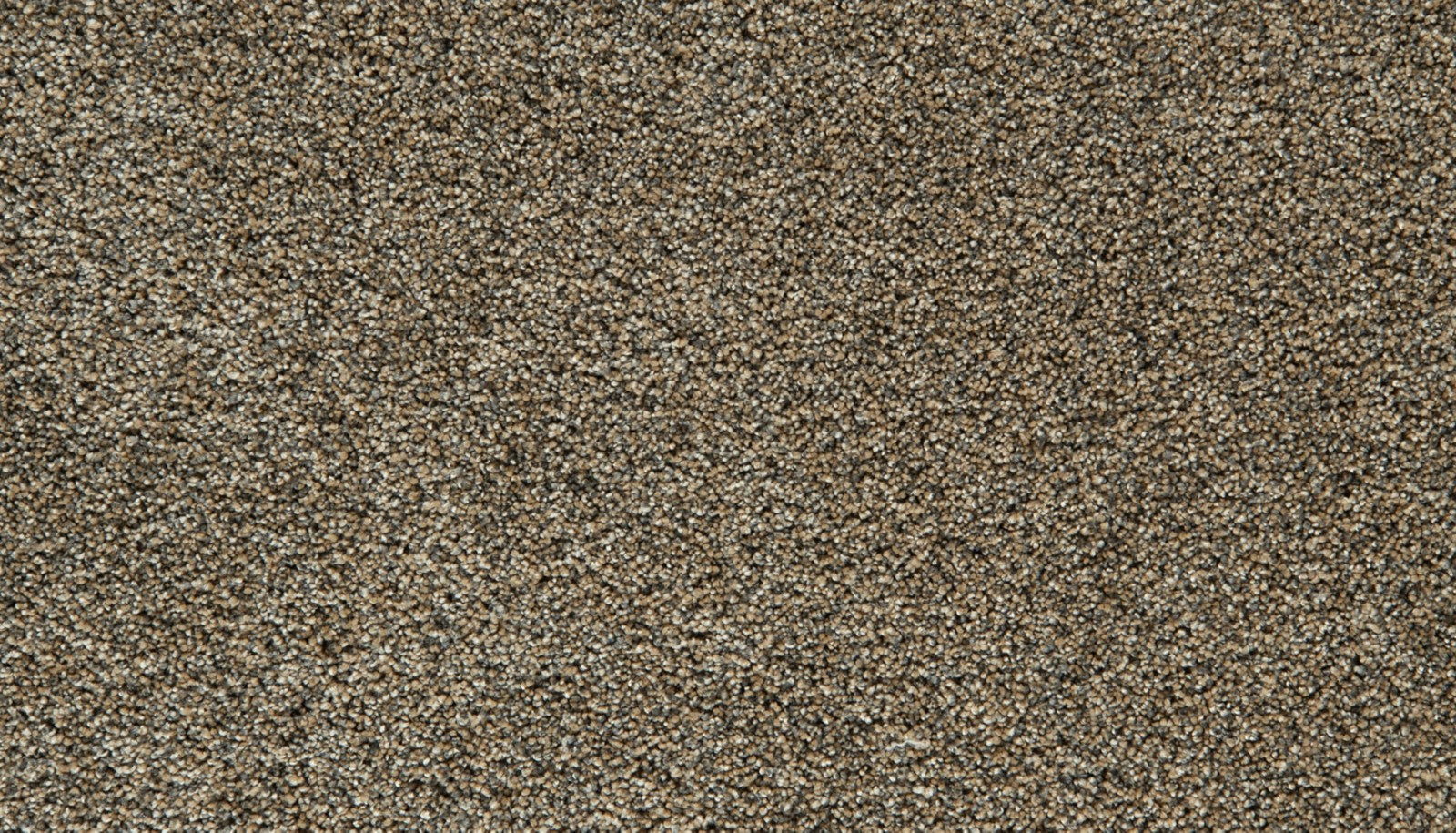 Mohawk Cozy Companion III in Thatched, Carpet product detail