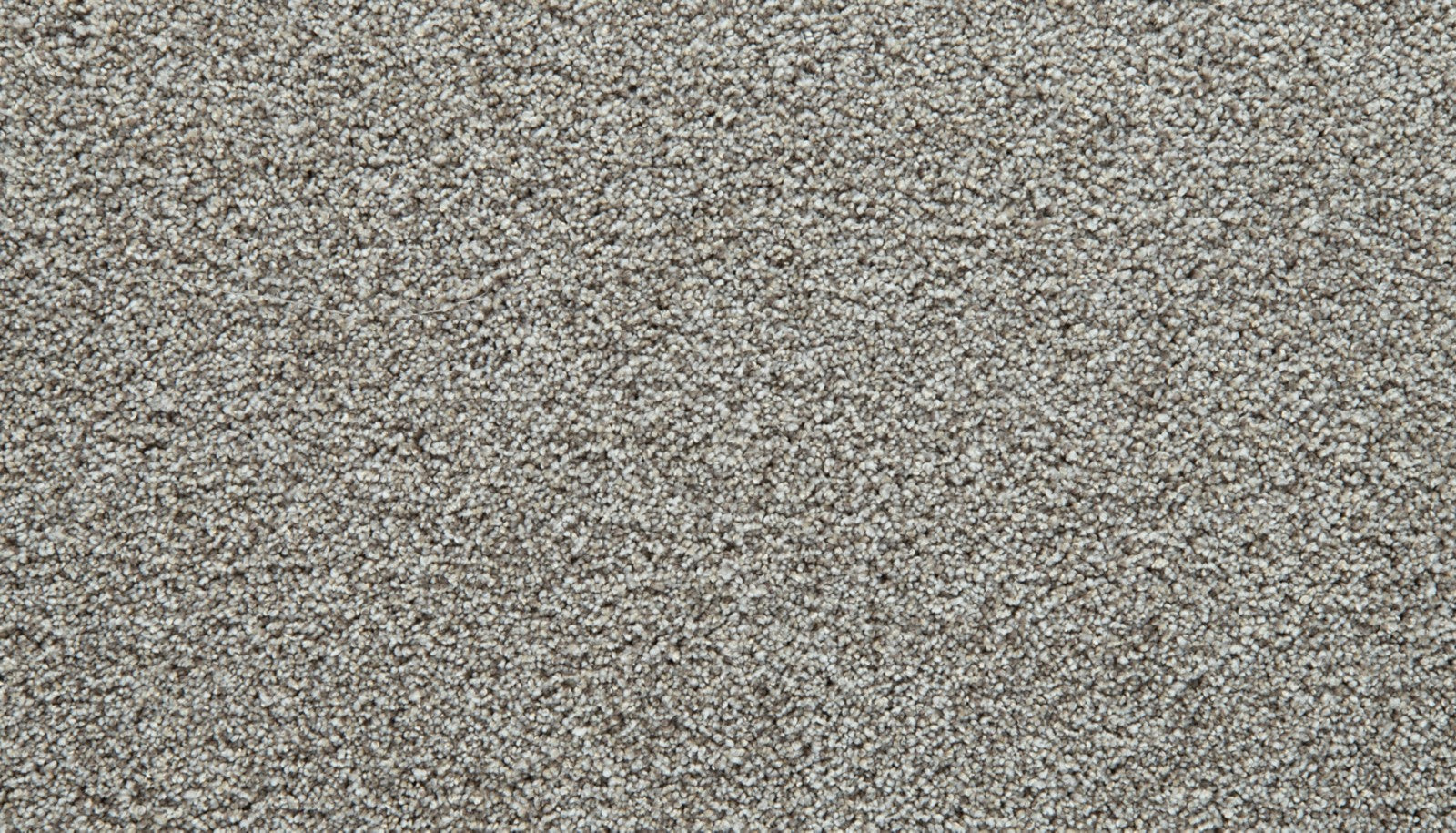 Mohawk Cozy Companion III in Oyster, Carpet product detail