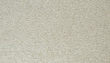 Mohawk Cozy Companion IV Carpet