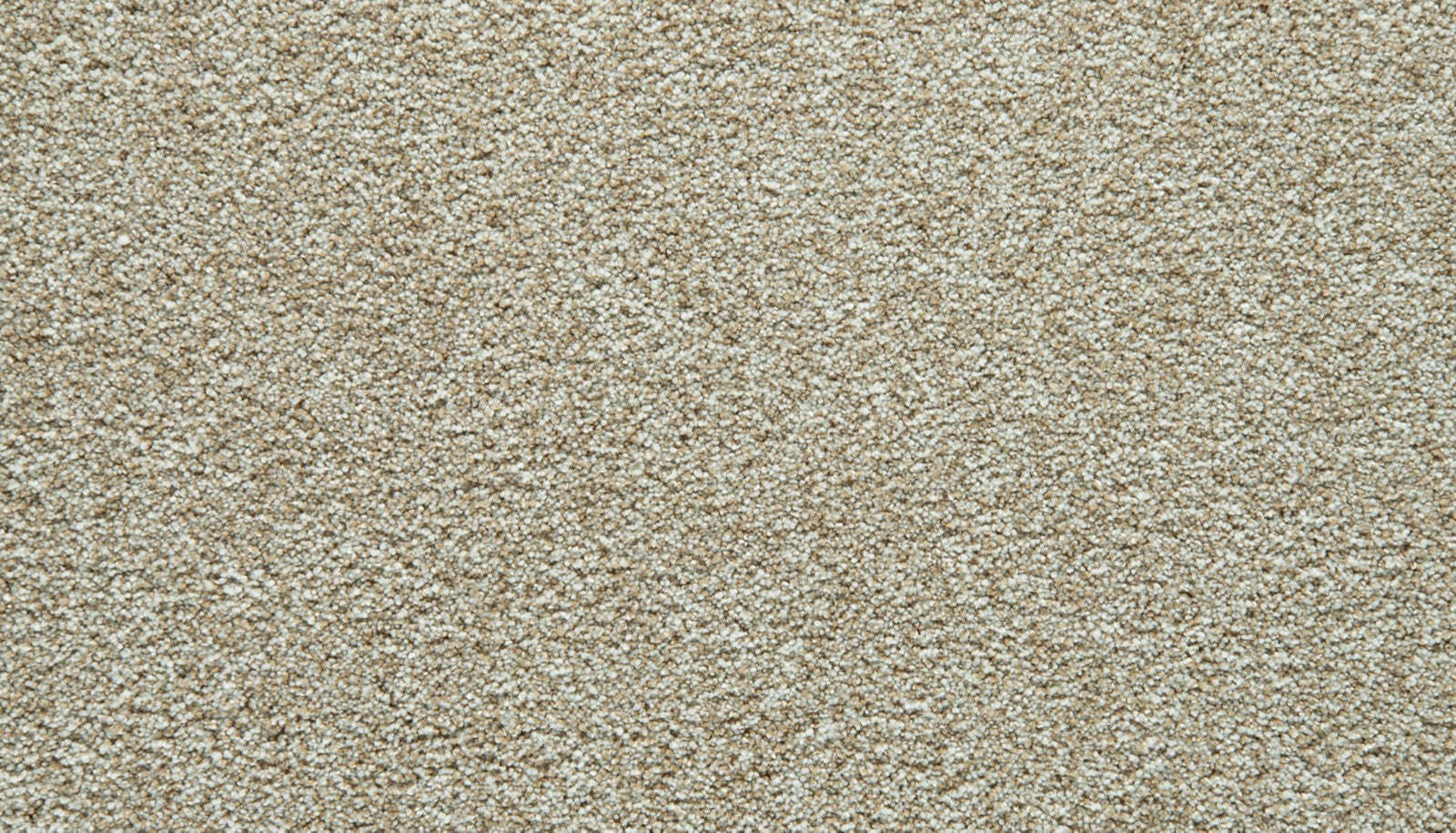 Mohawk Cozy Companion IV in Coconut, Carpet product detail