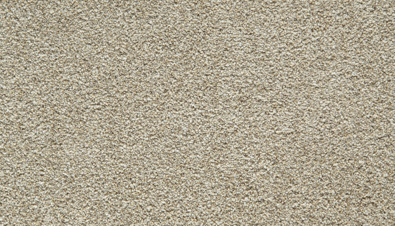 Mohawk Cozy Companion IV in Ivory, Carpet product detail
