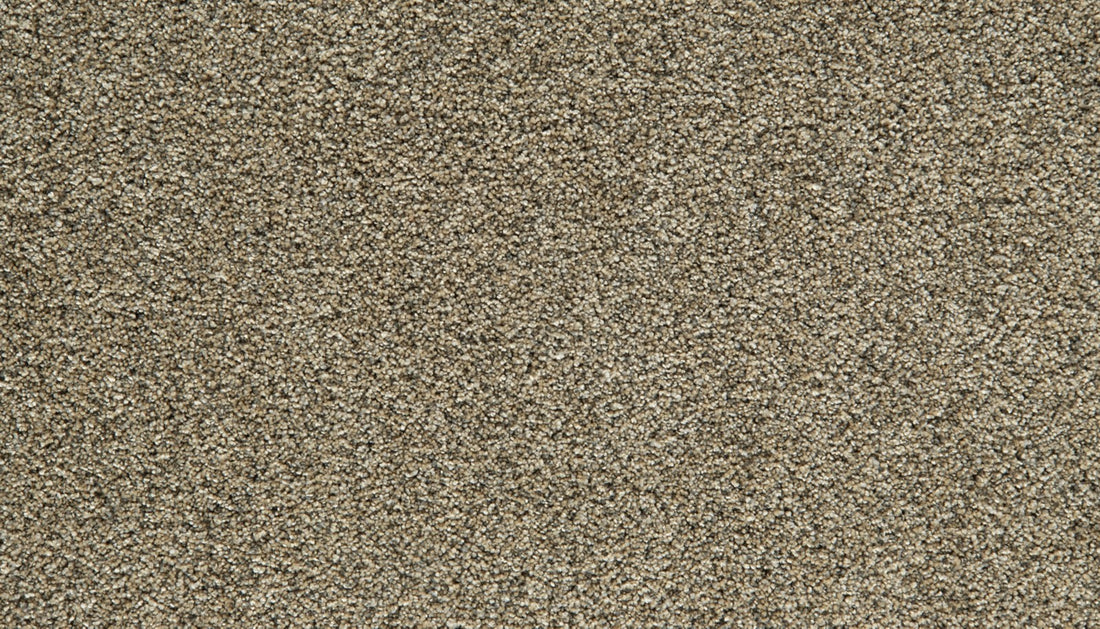 Mohawk Cozy Companion IV Carpet