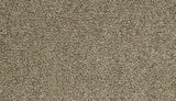 Mohawk Cozy Companion IV Carpet