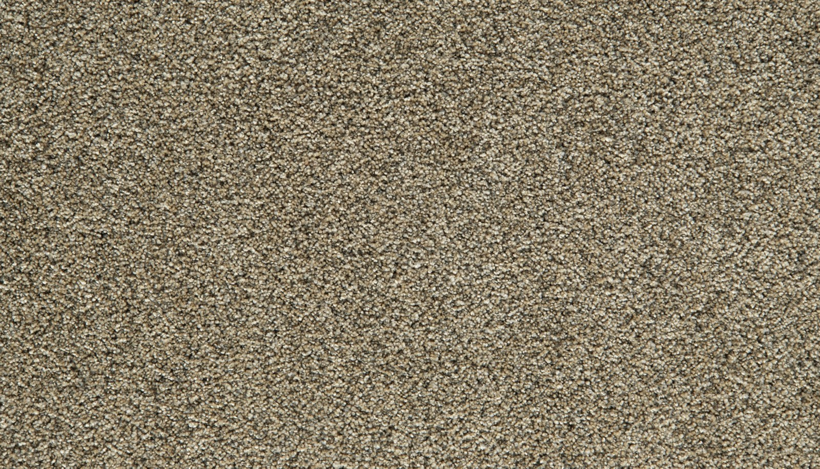 Mohawk Cozy Companion IV in Barn Owl, Carpet product detail